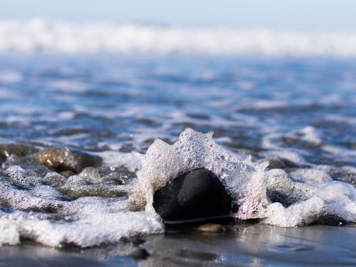 High Tide looking to flood Ontario, acquiring interests in Canna Cabana stores