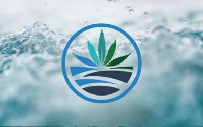 Rising High: An exclusive talk with retail-focused cannabis company High Tide
