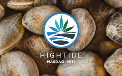 High Tide Enters New Vertical in the United States With Launch of Cannabis Seeds