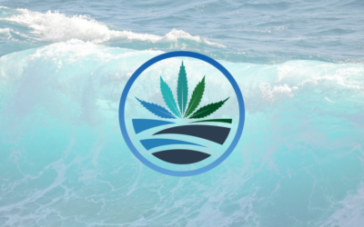 Raj Grover, President & CEO of High Tide on Benzinga Cannabis Insider