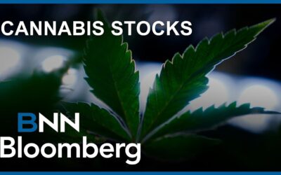 High Tide Featured on BNN Bloomberg