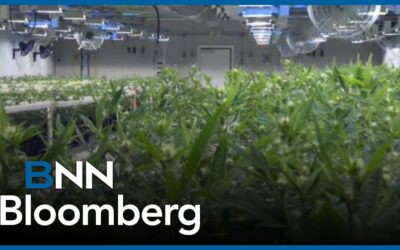 High Tide Featured as Hot Pick on BNN Bloomberg