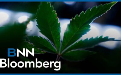 High Tide Featured as Hot Pick on BNN Bloomberg
